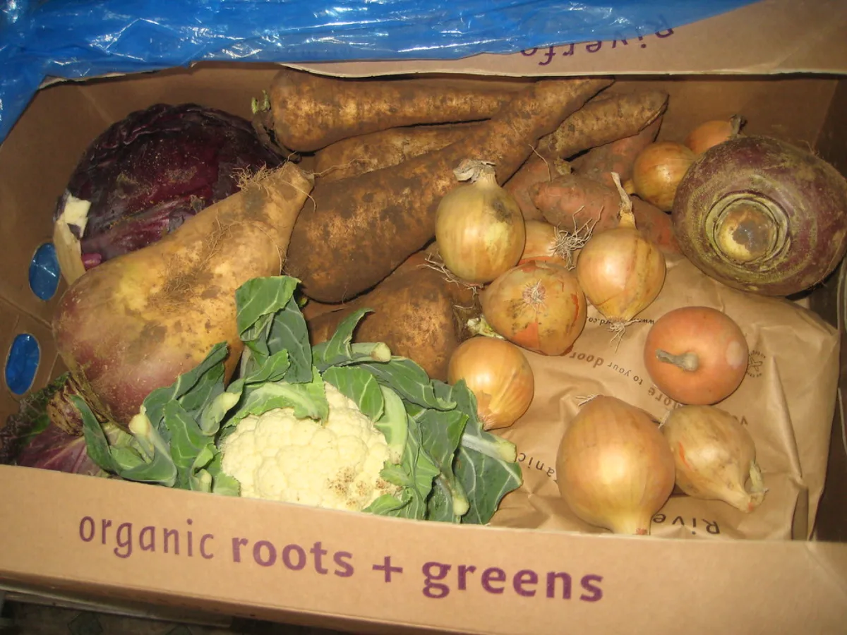 Quelle solution pour se faire livrer des repas sains ?