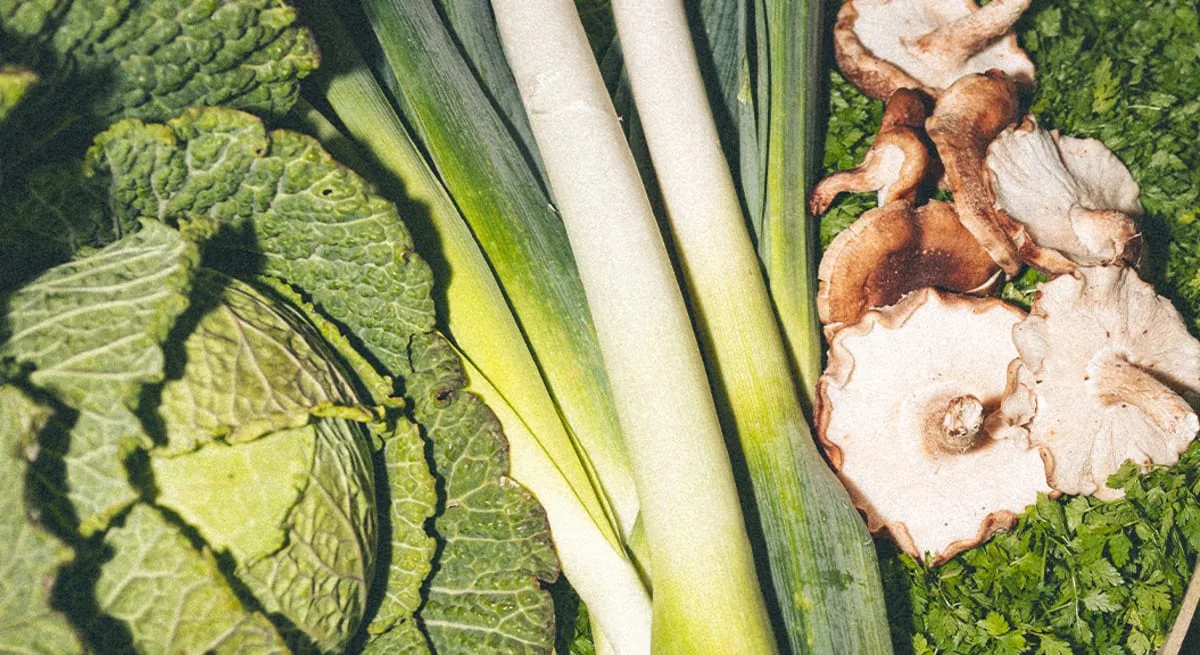 Légumes bio et de saison dans une box repas